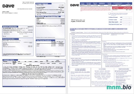 USA Dave Bank wyciąg z kredytu hipotecznego w formatach Word i PDF, 3 strony 1-2